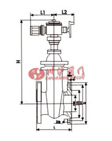 電動(dòng)暗桿閘閥 結(jié)構(gòu)圖