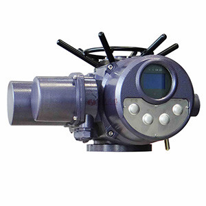 整體型多回轉(zhuǎn)電動(dòng)執(zhí)行器