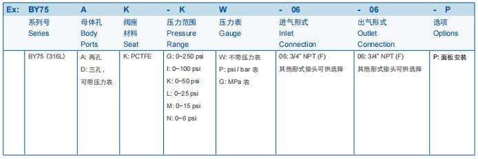 BY75大流量背壓閥圖片